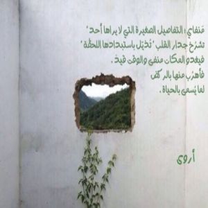 التفاصيل الصغيرة - أروى الزهراني - جده