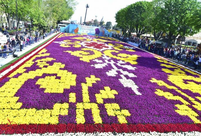 اكبر سجادة من زهر التوليب بالعالم