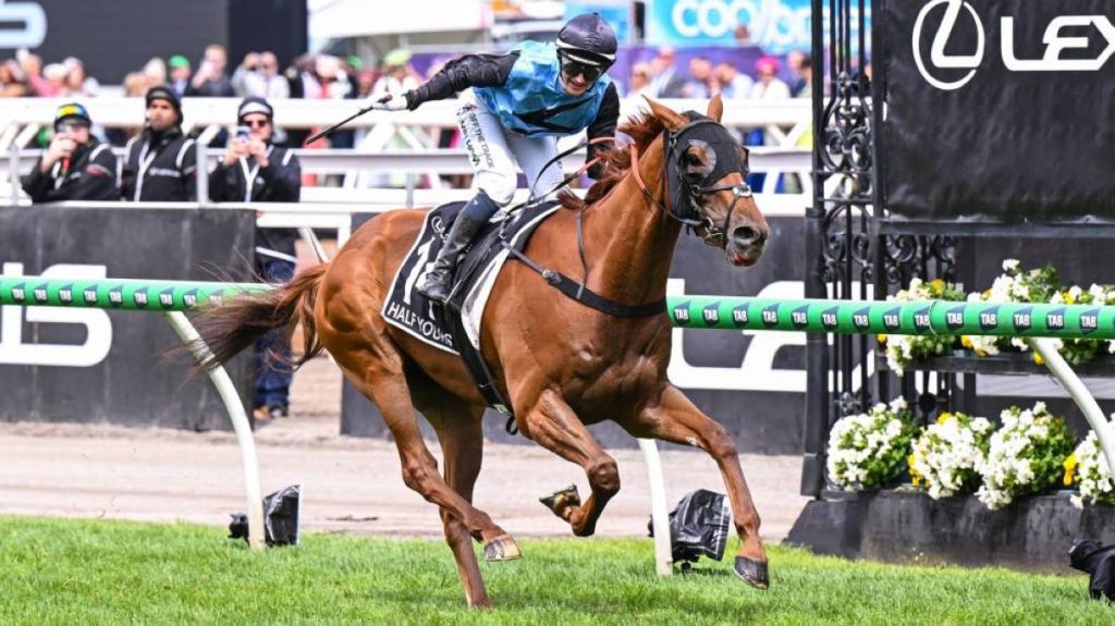 ميلهام تدخل التاريخ مع «هاف يورز» في «ملبورن كب»