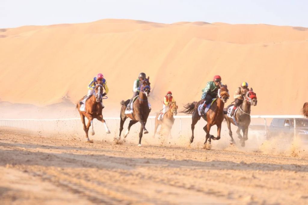السباق الثاني للخيول العربية الأصيلة ينطلق في منطقة الظفرة غداً