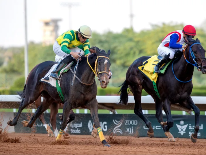 ميدان سباقات الخيل بنجران يُنظّم حفل سباقه الثامن للموسم الحالي