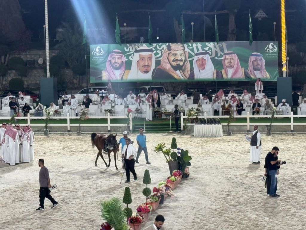 اختتام البطولة الدولية لجمال الجواد العربي في محافظة جدة