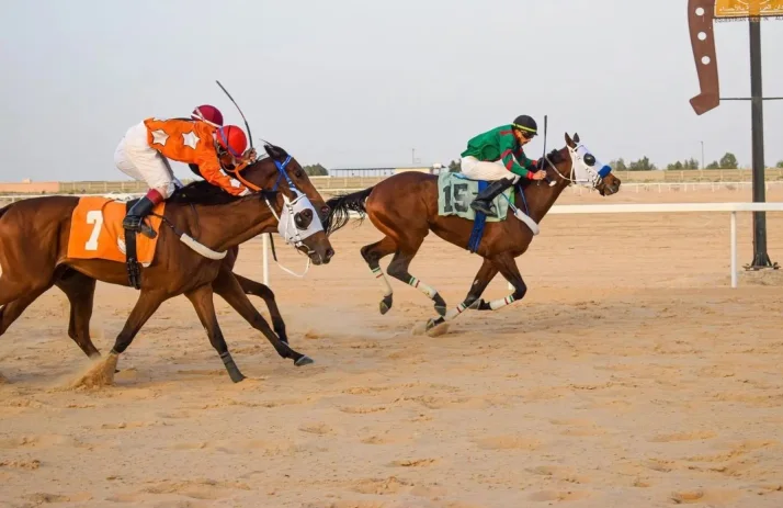 فروسية حائل تطلق غدًا موسمها الجديد