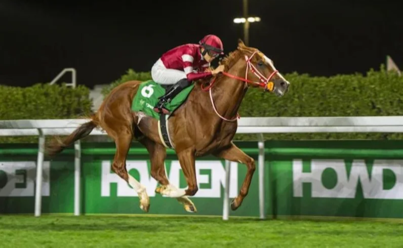 في إنجاز سعودي.. كأس نيوم يرتقي إلى مرتبة الفئة الأولى