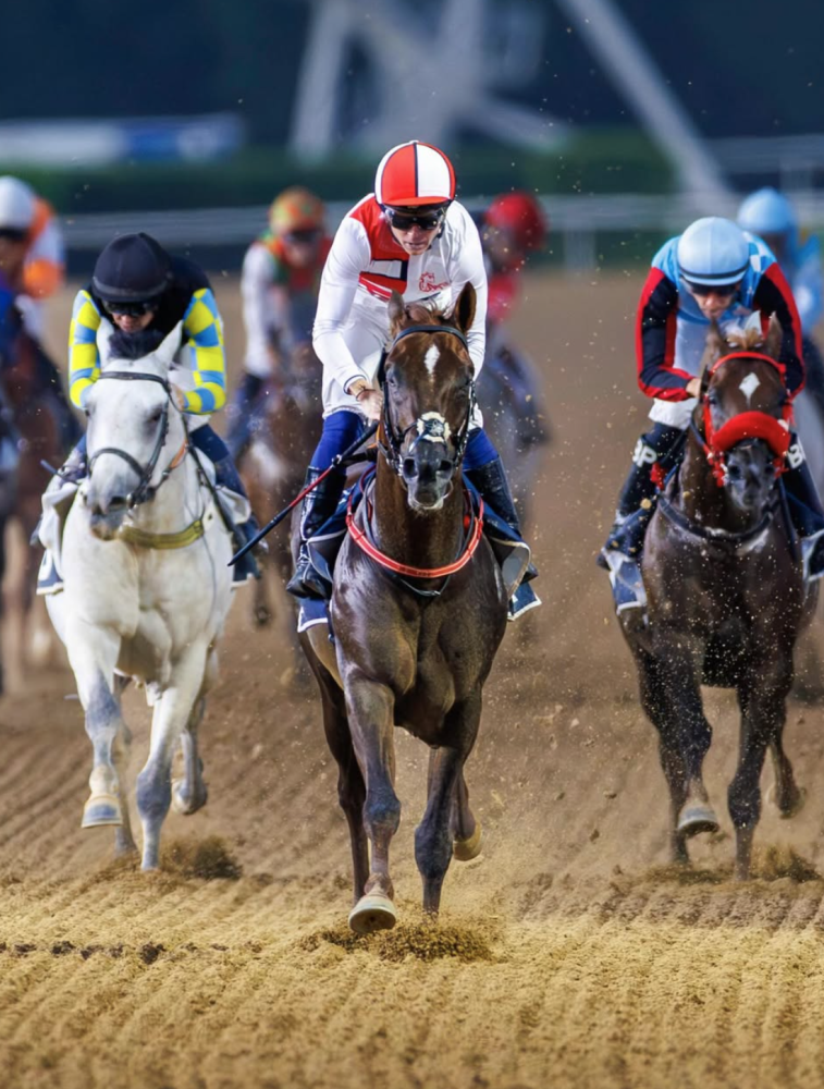 كرنفال سباقات دبي يتلقى أكثر من 300 طلب مشاركة من 19 دولة