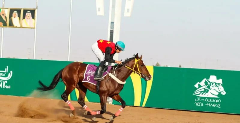 فروسية حائل تنظّم سباقها السابع بمهرجان الأمير عبدالعزيز