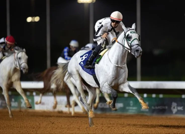 انطلاق مهرجان الأمير سلطان بن عبدالعزيز العالمي للجواد العربي بمشاركة نخبة عالمية