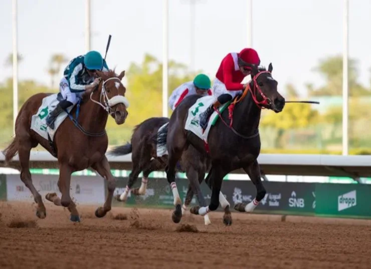 الحرابي يكشف جاهزية "أميرة الزمان" قبل كأس السعودية