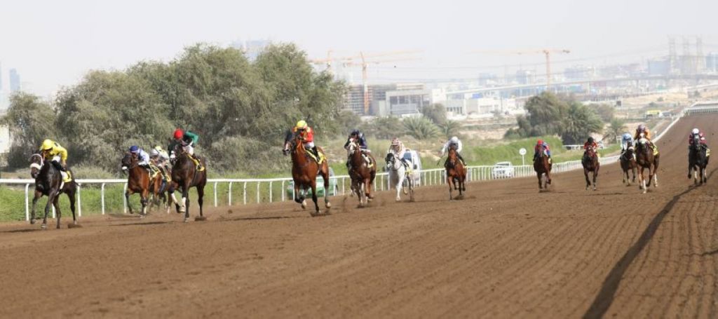 تألق «موهوب» و«رماس» في الأمسية العاشرة للمضمار الأصفر