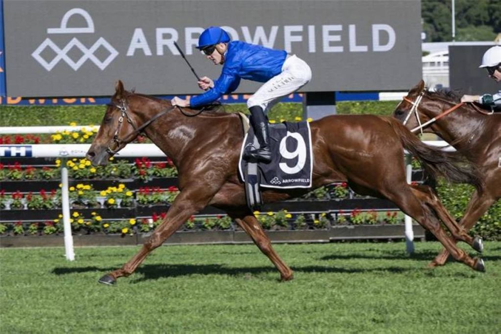 «تمبتد» لجودلفين تتألق في أستراليا وتستهدف قمة «إيفرست»