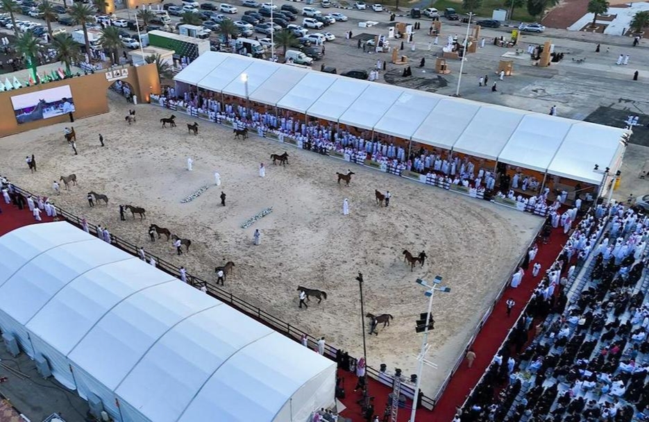 أكثر من 9 آلاف زائر في بطولة القصيم لجمال الخيل العربية 2026