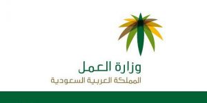 فرع وزارة العمل بمنطقه مكة المكرمة يرصد (250) عاملًا في عدد من المنشآت يعملون خلال فترة المنع