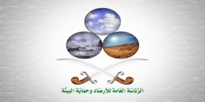 تعليق الدراسة في الرياض والخرج يوم غدٍ الأربعاء