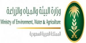 "البيئة" تؤكد سلامة الثروة السمكية في شواطئ المملكة على الخليج العربي