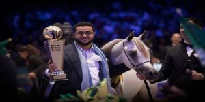 مربط السيد يتألق في بطولة باريس لجمال الخيل العربية