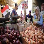 مصر.. 5 ملايين طن صادرات زراعية في 2019