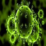 بكين تؤكد قدرتها على السيطرة على انتشار فيروس "كورونا" وهزيمته