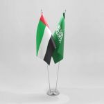 الإمارات تشارك السعودية فرحتها باليوم الوطني الـ 91