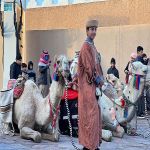 "قافلة إبل درب زبيدة" تستهوي زوار مهرجان شتاء درب زبيدة بقرية "لينة"