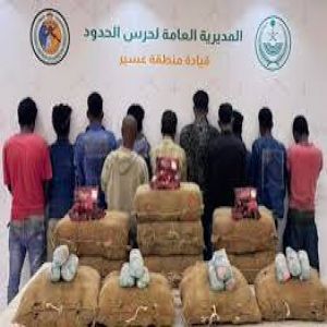 عسير.. الإطاحة بـ"11" مخالفًا لتهريبهم "60" كيلوجرامًا من نبات القات المخدر