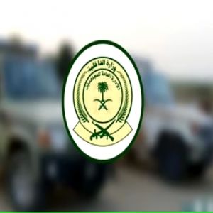 جازان.. دوريات المجاهدين تُحبط تهريب 50 كلجم من نبات القات المخدر