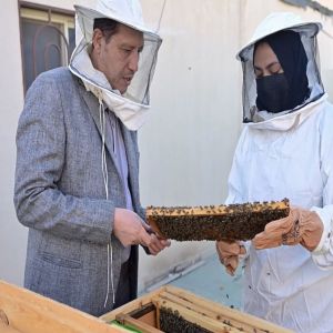جمعية المدينة المنورة الأهلية لتنمية المجتمع تُعلن عن نجاح المرحلة الأولى من تأهيل 11 شابًا وشابة من أبناء المدينة المنورة في مهنة تربية النحل