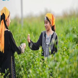 المزارع الريفية بجازان.. تجربة سياحية غير تقليدية في رمضان