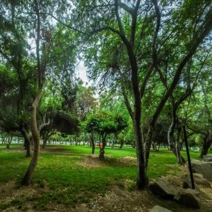 منتزه الملك فهد بنجران ملاذ هادئ للباحثين عن الاسترخاء