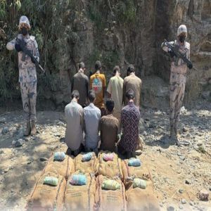 حرس الحدود بمنطقة جازان يقبض على (8) مخالفين لنظام أمن الحدود لتهريبهم (144) كيلوجرامًا من نبات القات المخدر