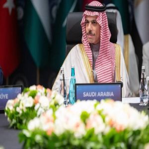 وزير الخارجية: نرفض الربط بين دخول المساعدات إلى غزة ووقف إطلاق النار