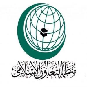 «التعاون الإسلامي» تدين استمرار الإبادة الجماعية بغزة وتطالب المجتمع الدولي بتحمل مسؤولياته