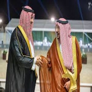 اختتام بطولة القصيم لجمال الخيل العربية بمشاركة أكثر من 260 جوادًا