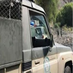 إحباط تهريب 52 كيلوجراما من نبات القات بمنطقة عسير