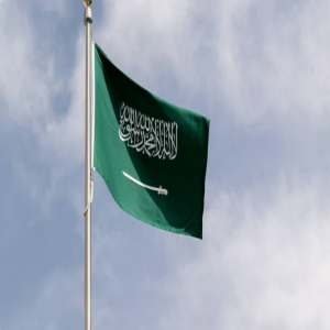 للعام الثالث تواليًا.. المملكة الأولى بالشرق الأوسط وشمال أفريقيا في الخدمات الحكومية الإلكترونية
