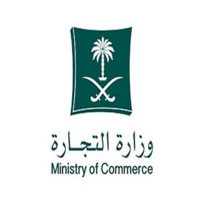 التشهير بمواطنة ومقيمين لارتكابهم جريمة التستر في نشاط النقل