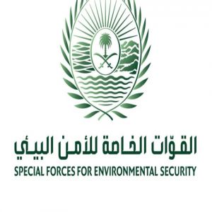 القوات الخاصة للأمن البيئي تضبط مخالفًا لنظام البيئة لارتكابه مخالفة التخييم في محمية الملك عبدالعزيز الملكية