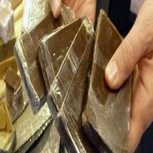 إحباط تهريب 23 كيلوجرامًا من مادة الحشيش بمنطقة جازان