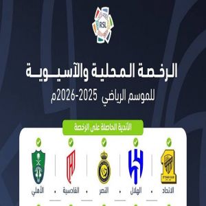 لجنة التراخيص : 13 ناديًا في روشن يحصلون على الرخصة المحلية والآسيوية