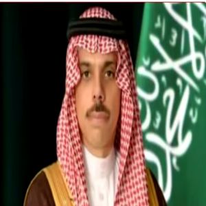 وزير الخارجية ونظيره النمساوي يستعرضان العلاقات الثنائية بين البلدين
