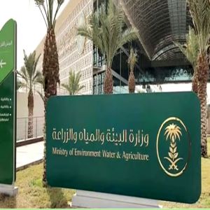 "البيئة" تعلن إنشاء 7 محطات لتربية ملكات النحل وإنتاج الطرود وتشغيلها العام المقبل
