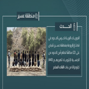 القبض على 22 مخالفًا لتهريبهم 440 كيلوجرامًا من القات في عسير