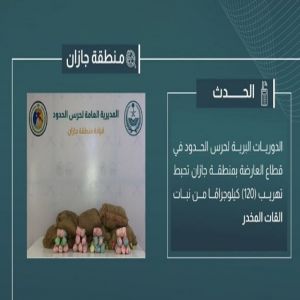 إحباط تهريب 120 كيلوجرامًا من القات المخدر في جازان