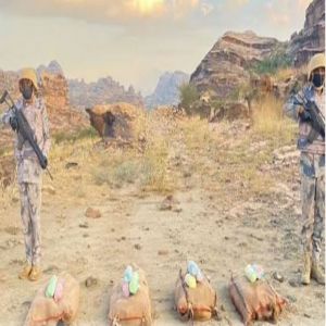 القبض على 3 مخالفين لتهريبهم 40 كيلوجرامًا من نبات القات بمنطقة جازان
