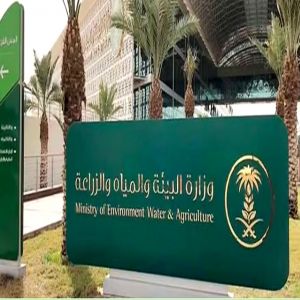 «البيئة»: 64 فرصة استثمارية زراعية واعدة في 8 مناطق