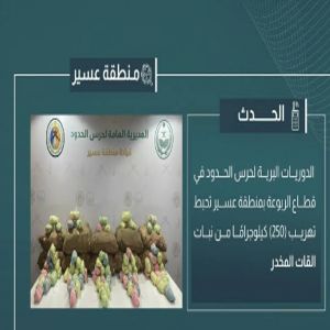 إحباط تهريب 250 كيلوجرامًا من القات المخدر بعسير
