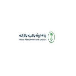 "بيئة القصيم" تطلق خطتها التشغيلية لموسم الأضاحي وتستعد لمهرجان "أضحيتي 46"