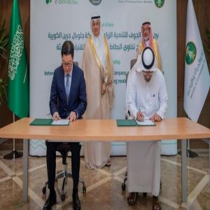 اتفاقية سعودية-كورية لتوطين إنتاج تقاوي البطاطس