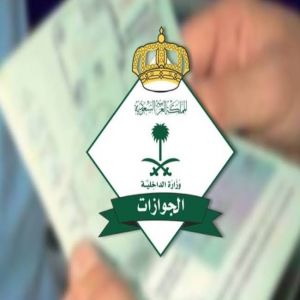 "الجوازات" تصدر (12,711) قرارًا إداريًا بحق مخالفين لأنظمة الإقامة والعمل وأمن الحدود