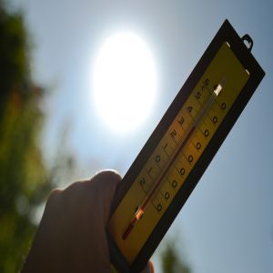 فرنسا.. وفاة طفل بطريقة مأساوية جراء نسيانه داخل سيارة تحت أشعة الشمس الحارقة