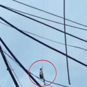 الصين.. طائرة مسيرة تنقذ شابا من فوق سطح منزله وسط فيضانات جارفة